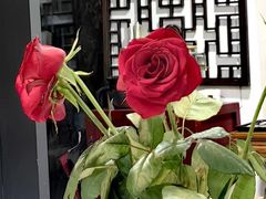 -道南書院·私房菜·早午茶·茶馆