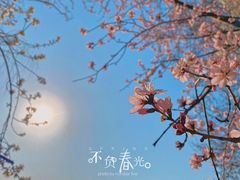 -长白岛森林公园