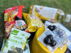 -昆山城市生态森林公园