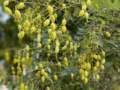 -南京市无想山景区