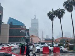 -圣爵菲斯大酒店(长沙世界之窗店)
