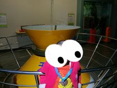 -陕西自然博物馆