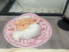 -它主义宠物(梁溪万达店)