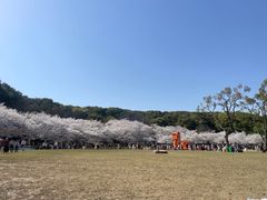 -苏州上方山国家森林公园