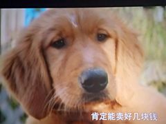 -银兴国际影城(星汇维港店)