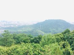 -灵岩山风景区