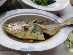 台州清炖小黄鱼-蘭奢雅集·江浙菜(青山江滩店)