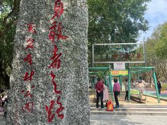 -广东茂名森林公园