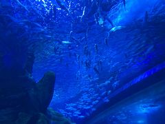 -多彩贵州城极地海洋世界