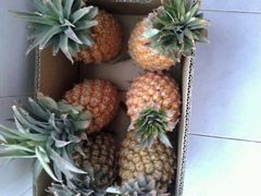 -上海龙吴水胜海发市场