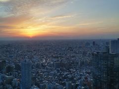 -东京都厅舍