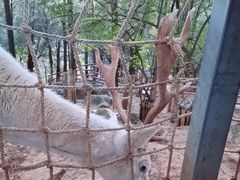 -昆明动物园