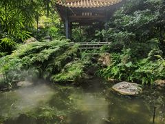 -广州兰圃