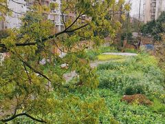 -妈妈味道生态私房菜(下潘家坝街店)