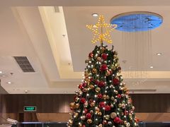 -上海西藏大厦万怡自助餐厅(徐汇店)