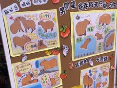 -正佳雨林生态植物园