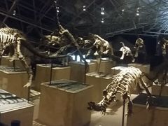 -世界恐龙谷景区