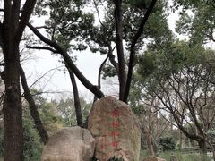 -上海方塔园