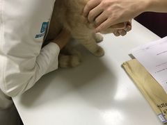 -美联众合动物医院·24h转诊中心