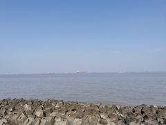 -上海滨江森林公园