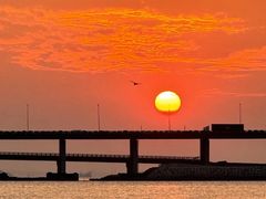 -宝安西湾红树林湿地公园