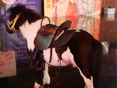 -萧山德纳MAX影城