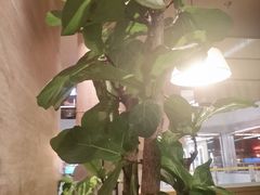 -北京安贞环宇荟