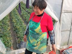 -小鱼草莓采摘园农家乐·小鱼餐厅