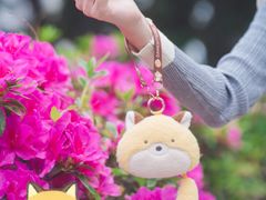 -玩具反斗城(海港城店)