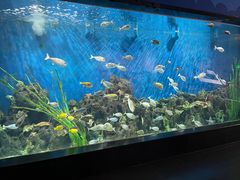 -锦艺城海洋馆