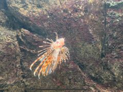 -福州罗源湾海洋世界旅游区