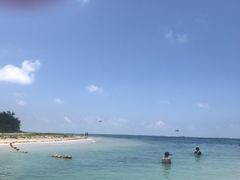-塞尔夫岛