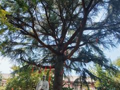 -西安青龙寺遗址景区