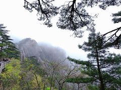 -黄山风景区