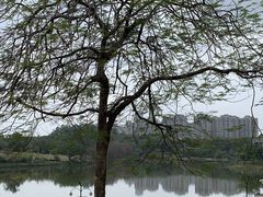 -东莞植物园