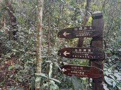 -普洱太阳河森林公园