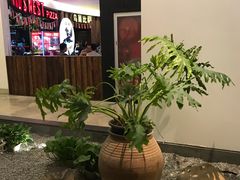 -绿茶餐厅(西单老佛爷店)