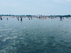 -日照海滨国家森林公园