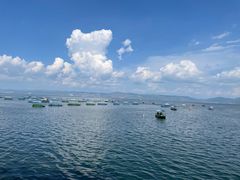 -抚仙湖禄充风景区