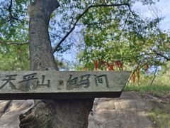 -灵岩山风景区