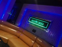 -音乐虫量贩式KTV(大悦城店)