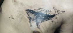 -刺客纹画·纹身·洗纹身.穿孔饰品