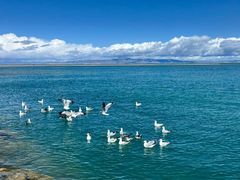 -青海湖国家重点风景名胜区