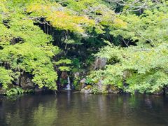-醍醐寺