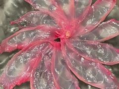 -肆月河豚·淮扬菜·湘菜(华天店)