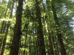 -山王坪喀斯特国家生态公园