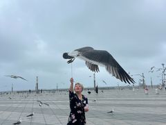 -东港音乐喷泉广场