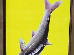 -鲜椒鱼·雅安地标性美食