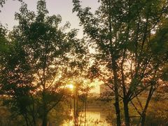 -灞河西岸滨河公园