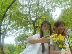 -春花秋色城市公园